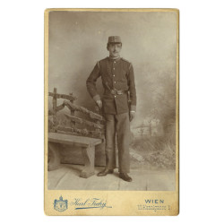 Karl Tichy, Wien