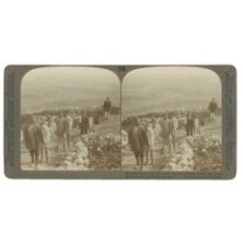 Χωρικοί στα Λεύκτρα