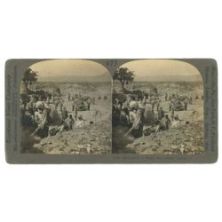 Παλαιά Κόρινθος̗̗̗̗̗̗‚ Ανασκαφή