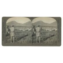 Βασκοί στην Πεδιάδα του Άργους